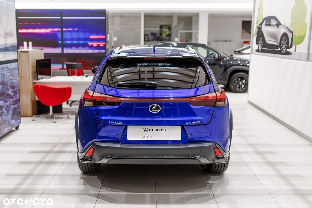 Lexus UX 300h F Sport Design - 20
