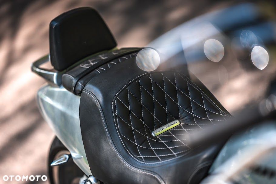 Harley-Davidson V-Rod Muscle - 11