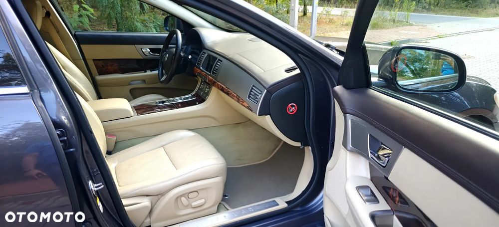 Jaguar XF 3.0 V6 D Luxury - 15