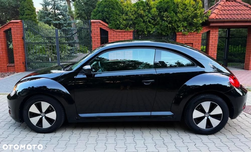 Volkswagen Beetle - 14