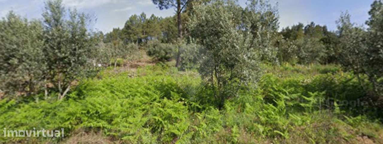 Terreno  para venda - Grande imagem: 3/3