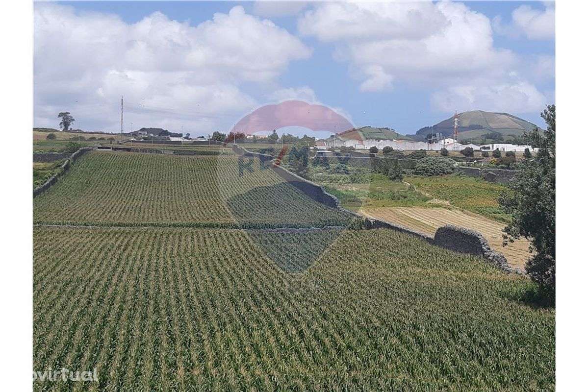 Terreno  para venda - Grande imagem: 3/5
