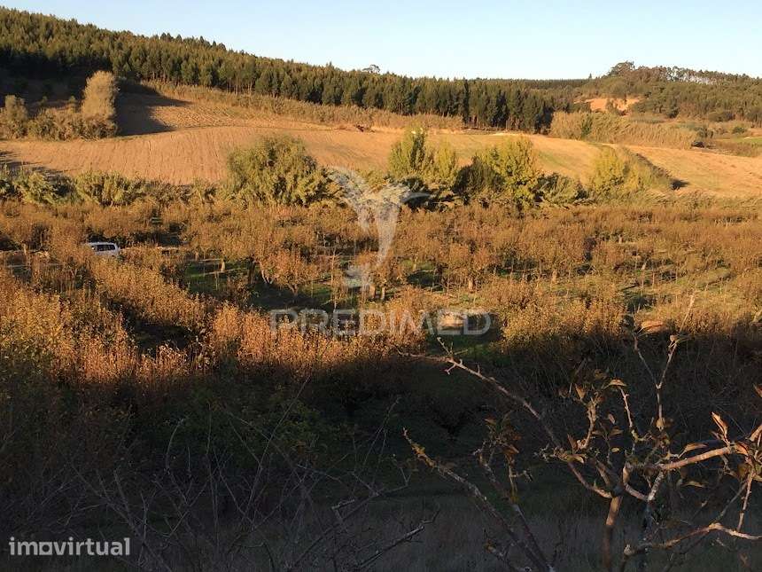 Terreno Rustico - Grande imagem: 2/3