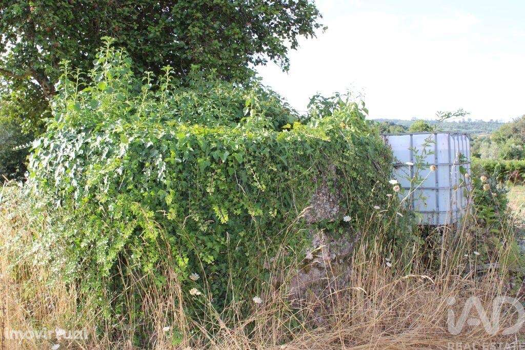Terreno em Bobadela de 2500,00 m2 - Grande imagem: 3/10