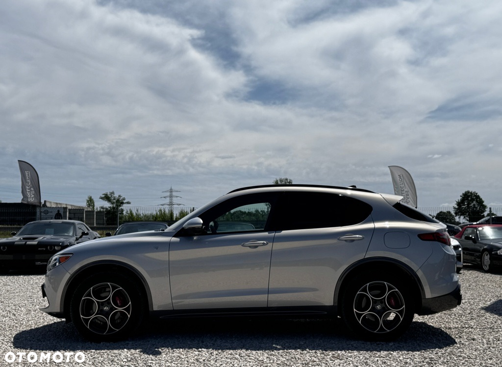 Alfa Romeo Stelvio 2.0 Turbo 16V AT8-Q4 Ti - 7