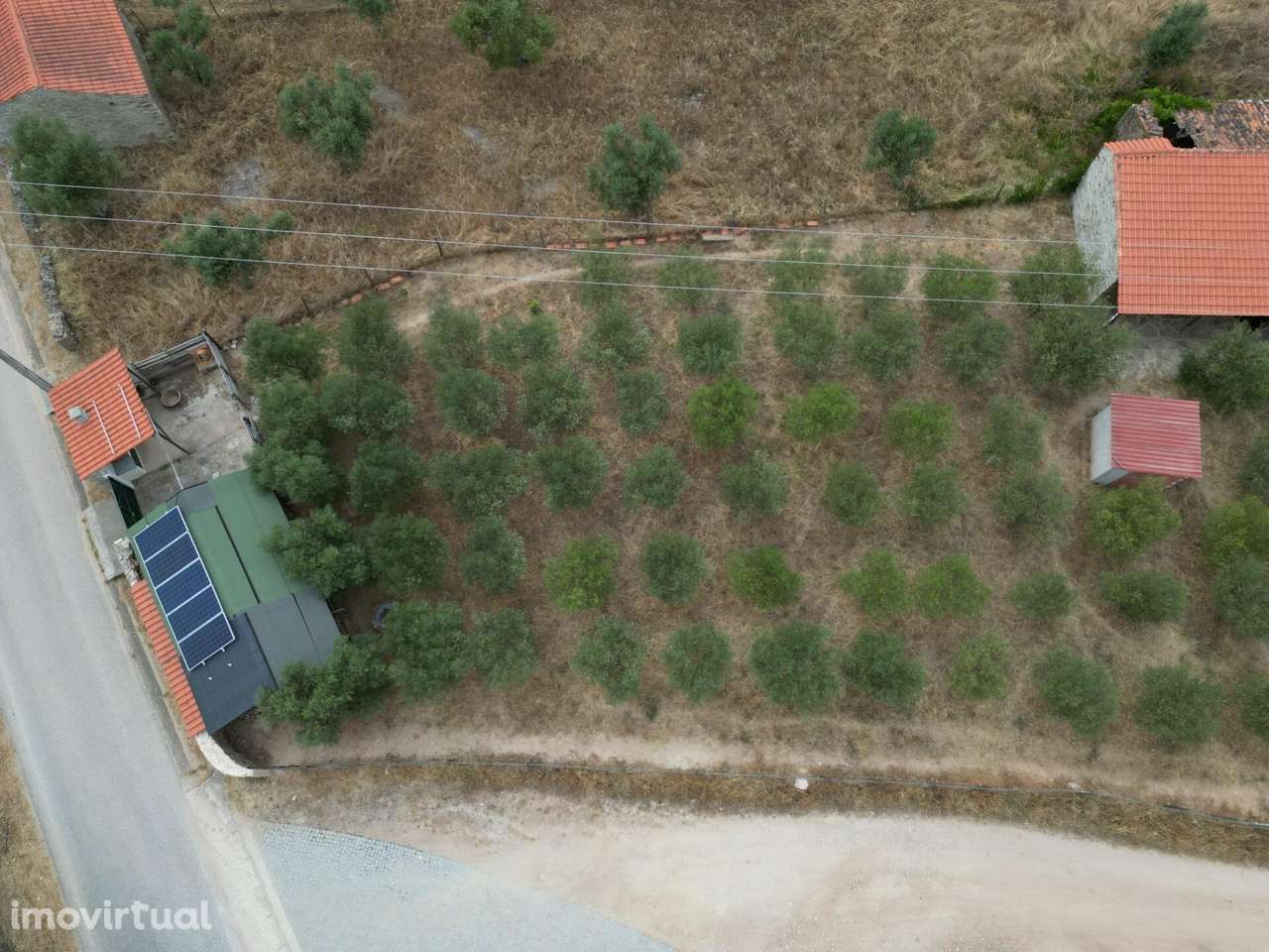 Alojamento Rustico com 6000m2 de Terreno em Salavessa Nisa - Grande imagem: 5/33