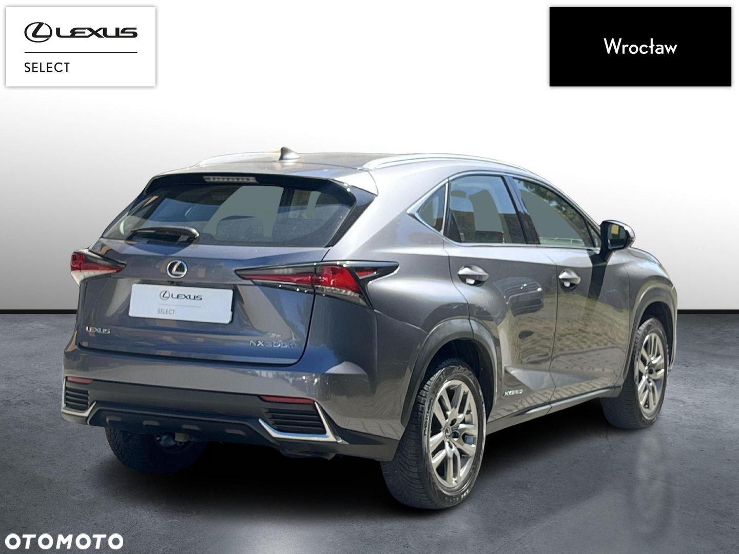 Lexus NX - 5