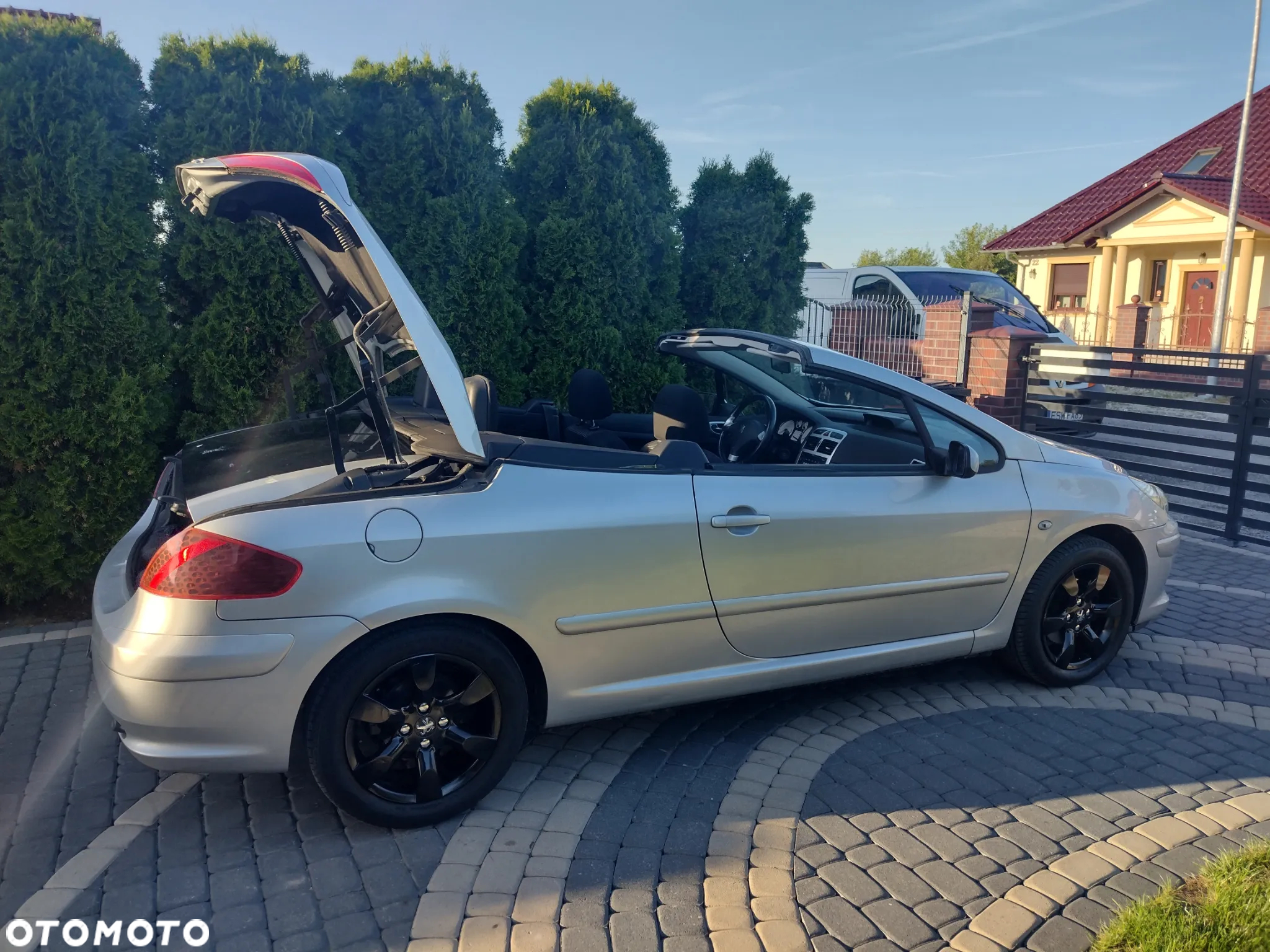Peugeot 307 CC 2.0 Intense - 11