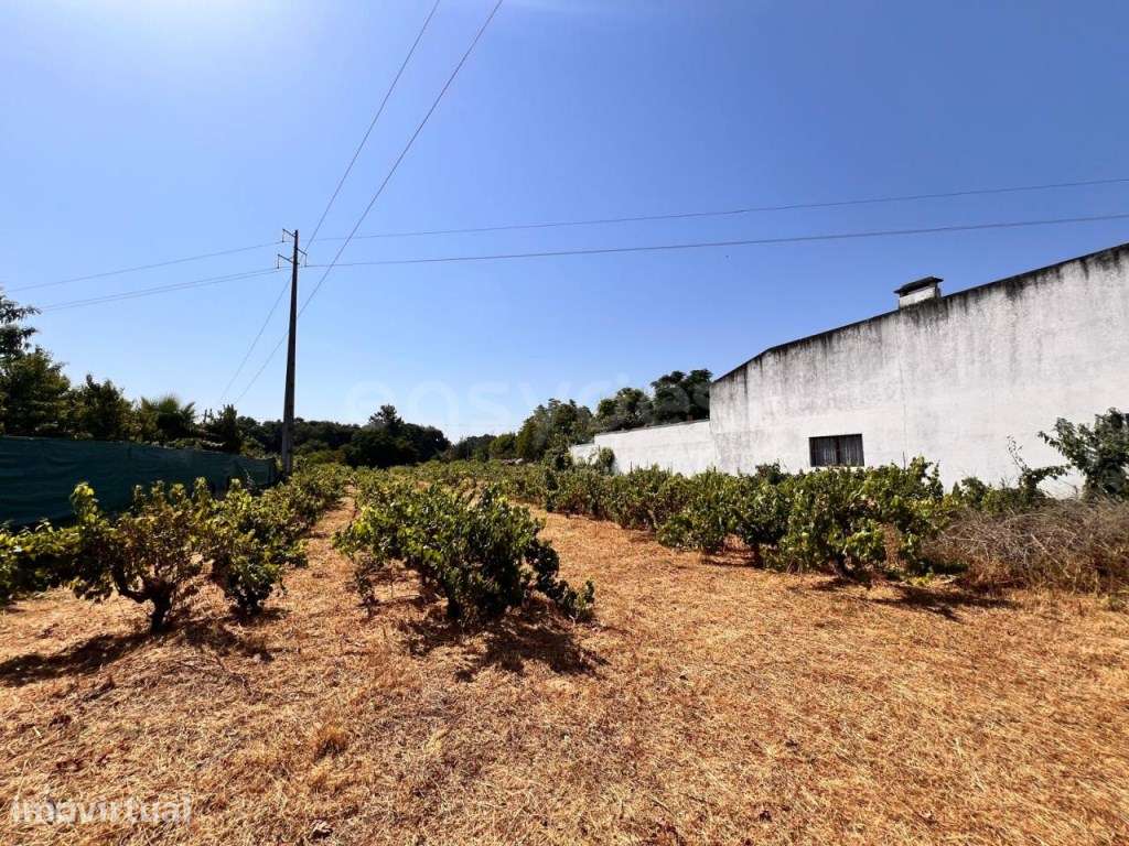 Terreno com possibilidade construção com luz e água em Abrantes - Grande imagem: 2/17