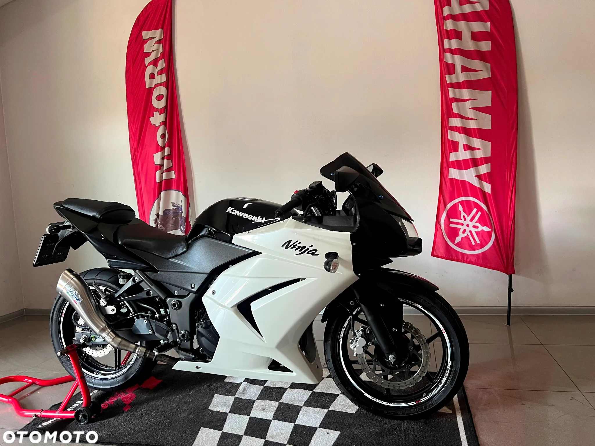 Kawasaki Ninja 250R - 8