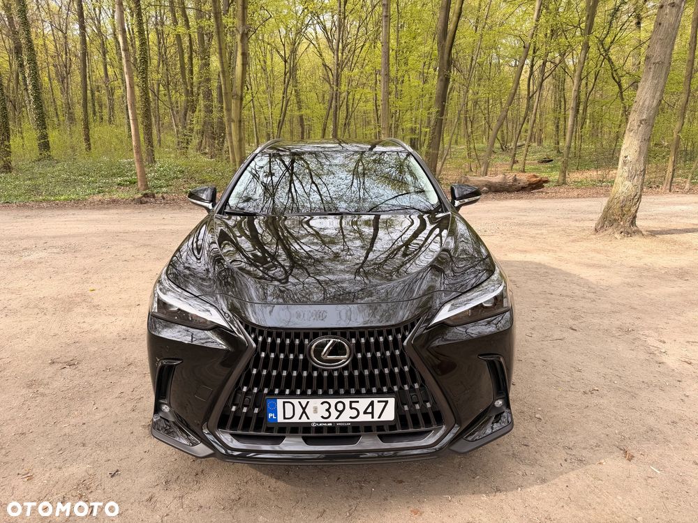 Lexus NX 450h+ Prestige AWD - 14