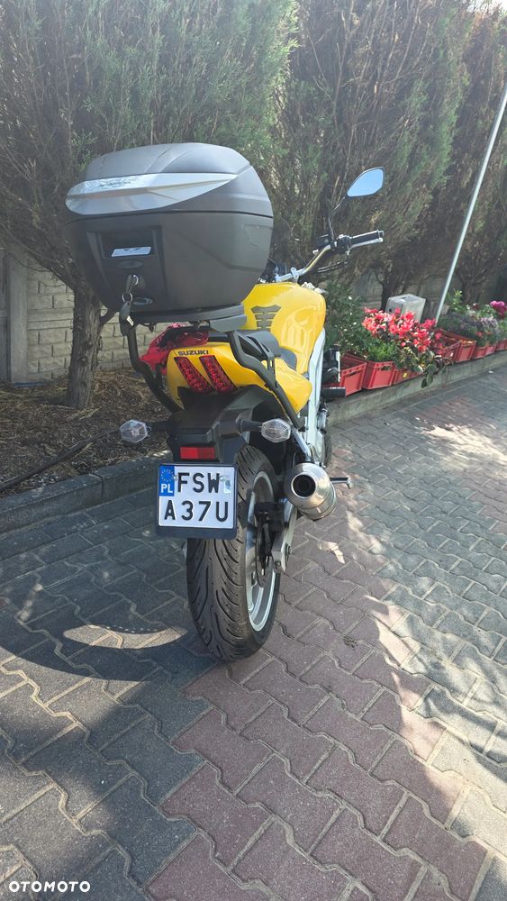 Suzuki SV - 8