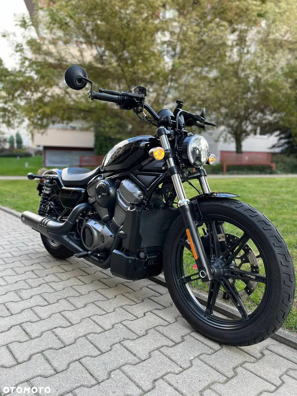 Harley-Davidson Sportster Nightster 975 - 9