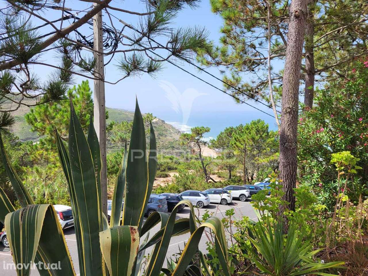 T1 Magoito - Vista e Proximidade Única à Praia - Grande imagem: 2/23