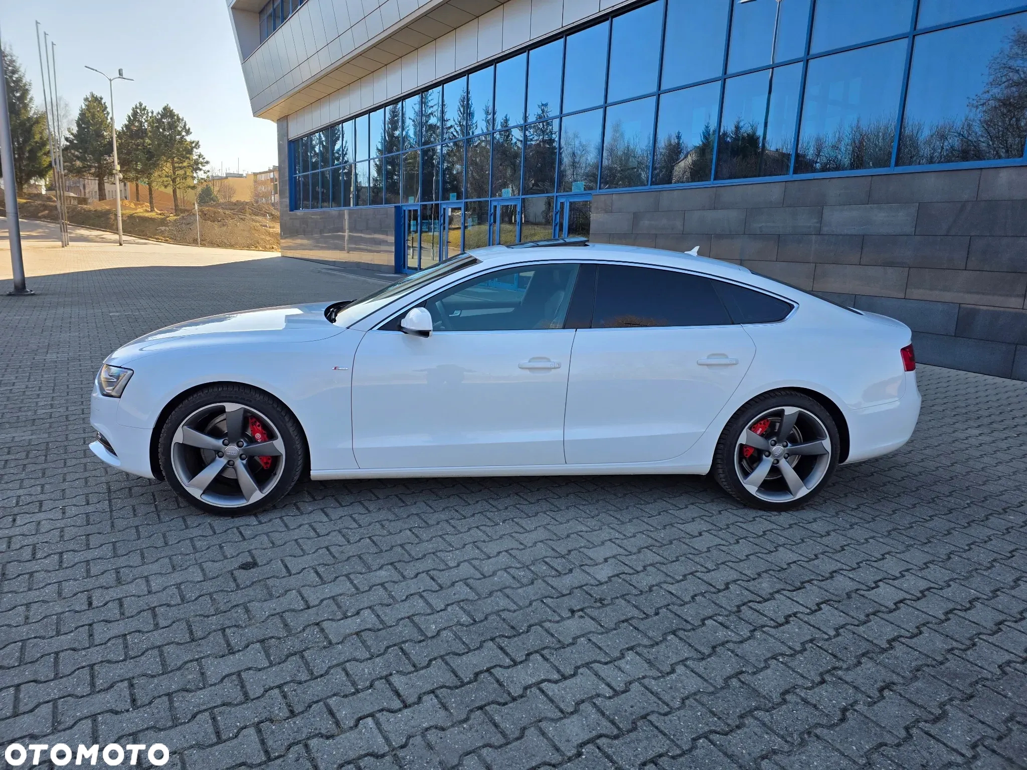 Audi A5 2.0 TDI Sportback quattro DPF S tronic - 2