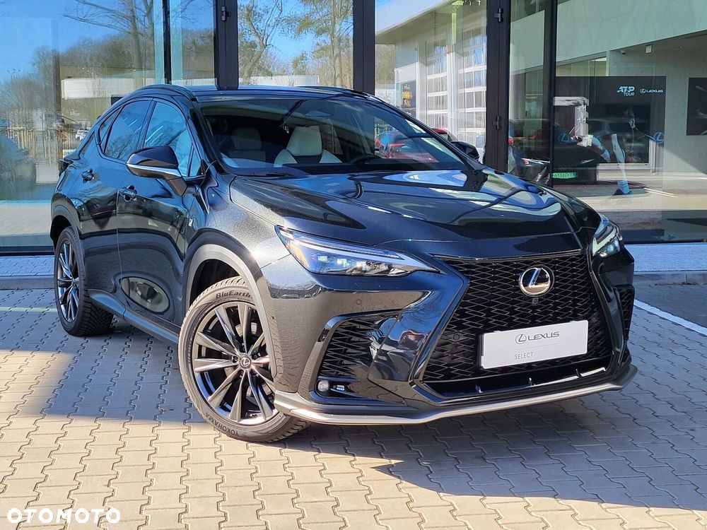 Lexus NX - 10