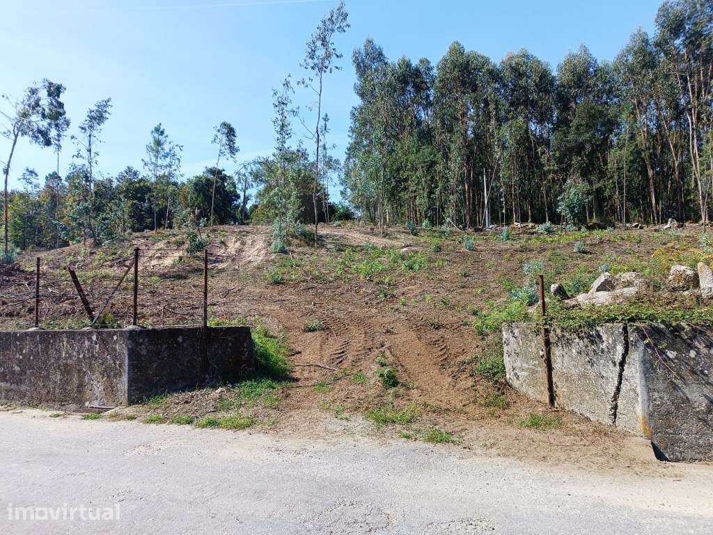 Terreno Urbano - Lote de gaveto - Grande imagem: 2/14