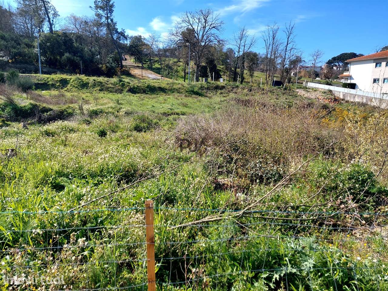 Lote para Construção de prédio - 6 fogos em Mangualde - Grande imagem: 5/17