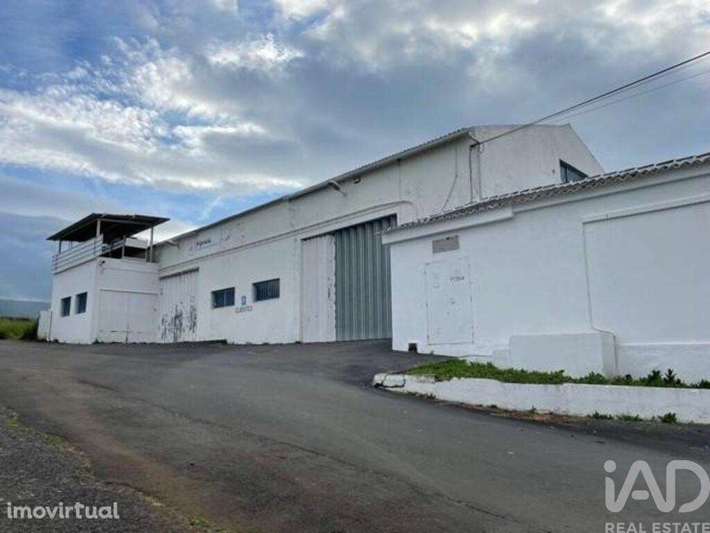 Hangar em Praia da Vitória (Santa Cruz) de 2202,00 m2 - Grande imagem: 2/17