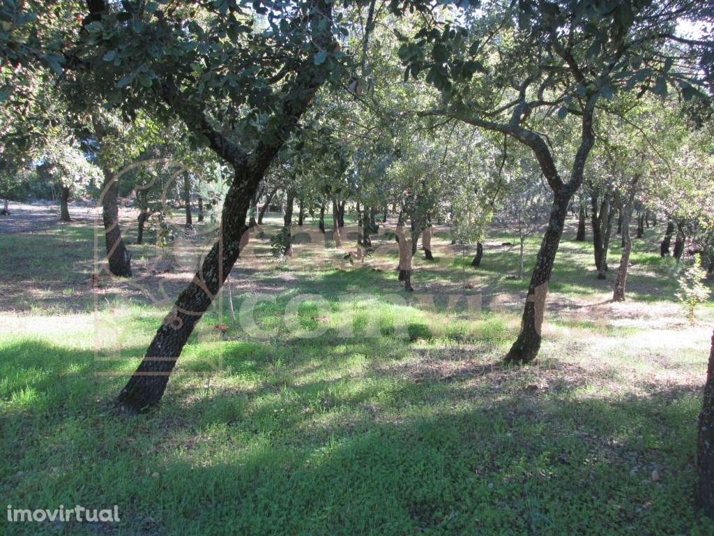 Terreno - Grande imagem: 4/12