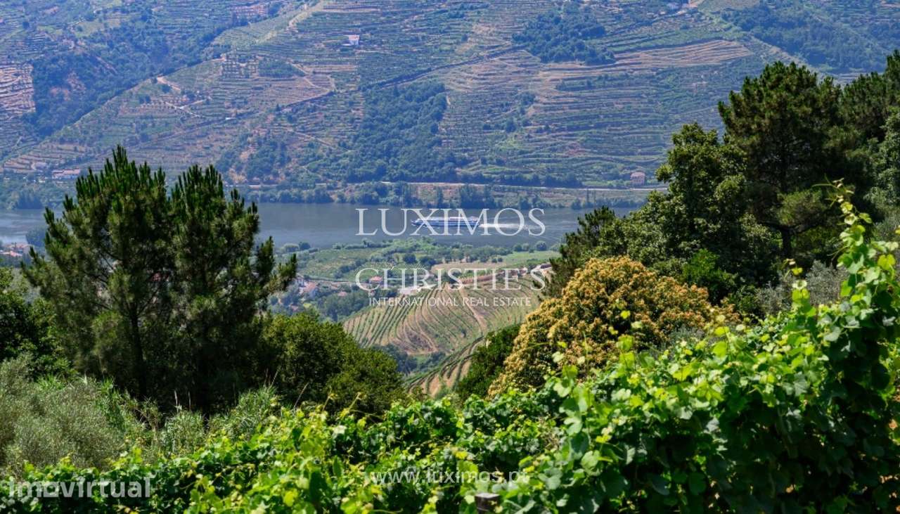 Quinta vinícola para venda em Mesão Frio no Douro Valley - Grande imagem: 2/25