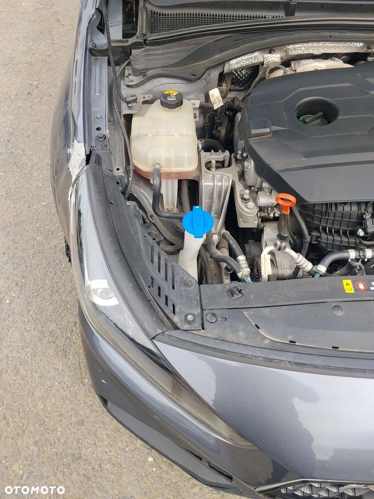 Hyundai i30 N 2.0 T-GDI Performance - 15