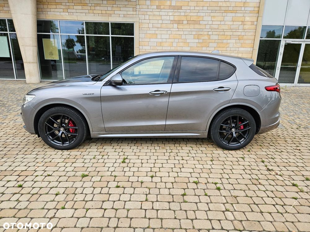 Alfa Romeo Stelvio 2.0 Turbo Veloce Q4 - 5
