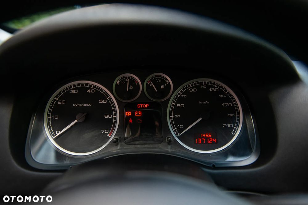 Peugeot 307 110 Grand Filou - 29