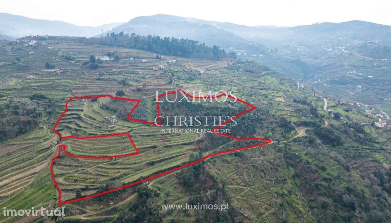 Fantástica quinta à venda no Douro Valley, Resende - Grande imagem: 2/25