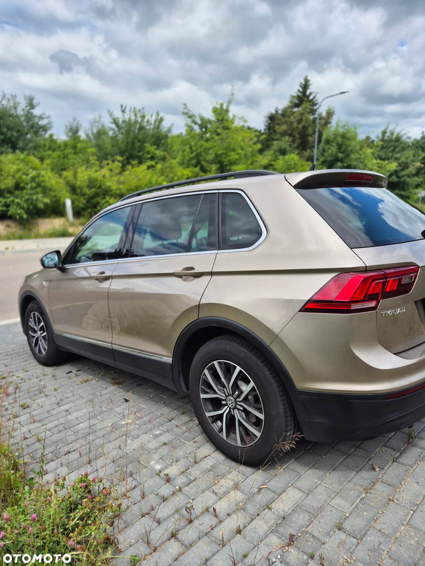 Volkswagen Tiguan 1.4 TSI BMT ACT Comfortline - 5