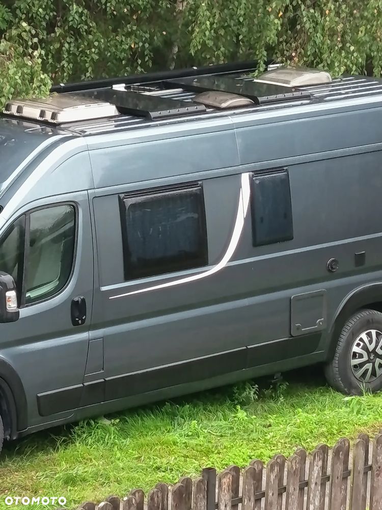Possl Boxer - 3