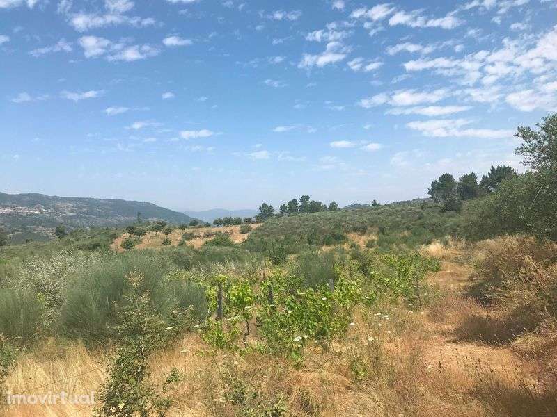 Conjunto de Terrenos Rústicos e Urbanos para Venda - Grande imagem: 5/12