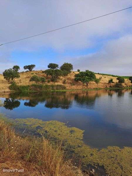Herdade para venda. Alentejo - Grande imagem: 3/3