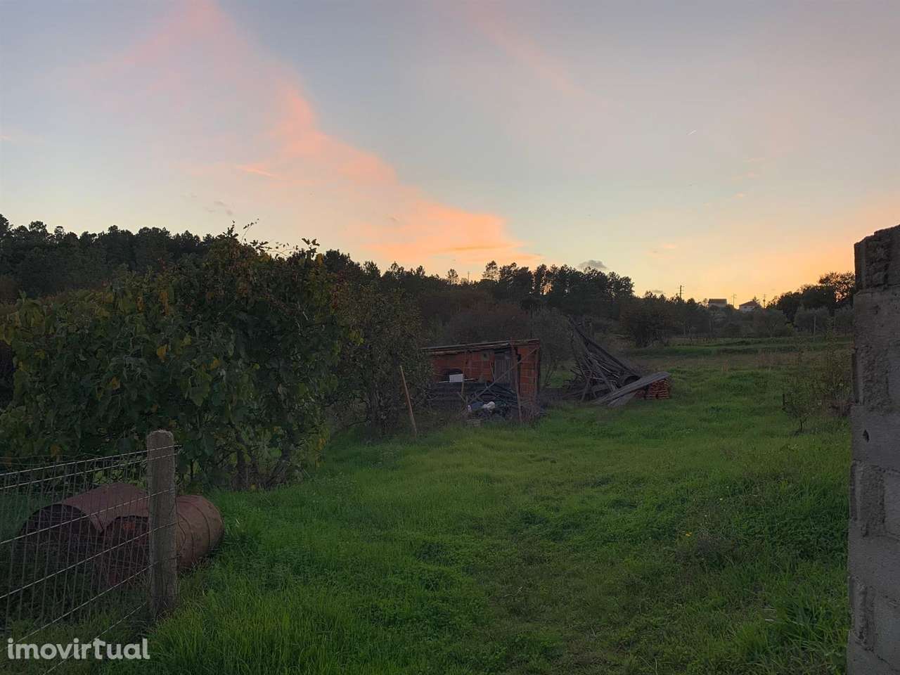 Quinta - Grande imagem: 3/14