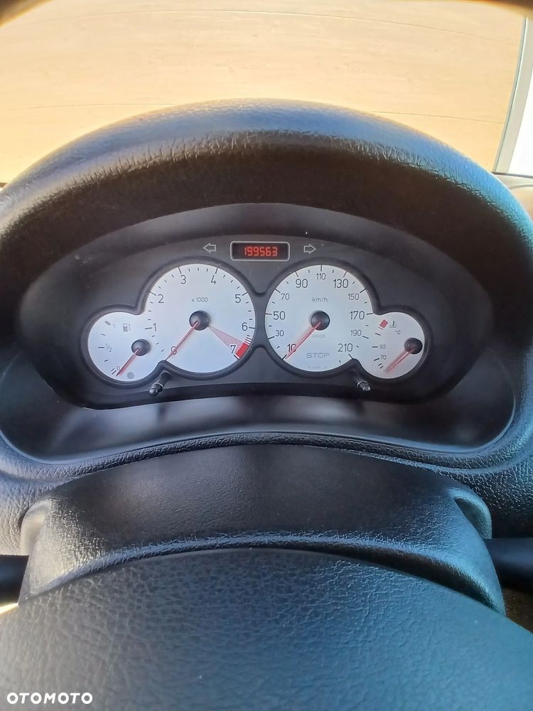 Peugeot 206 75 Grand Filou - 12