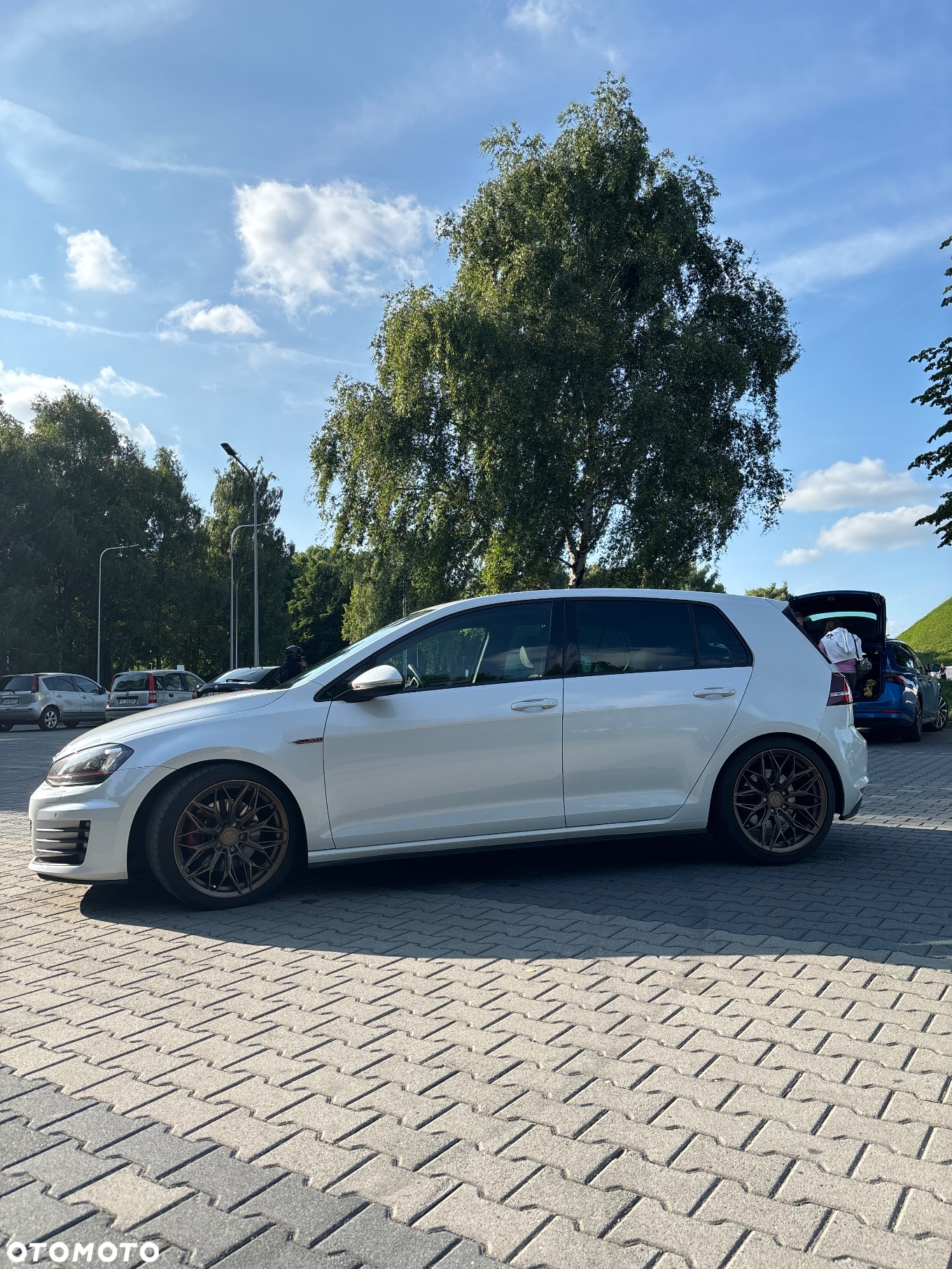 Volkswagen Golf VII 2.0 TSI BMT GTI DSG - 6