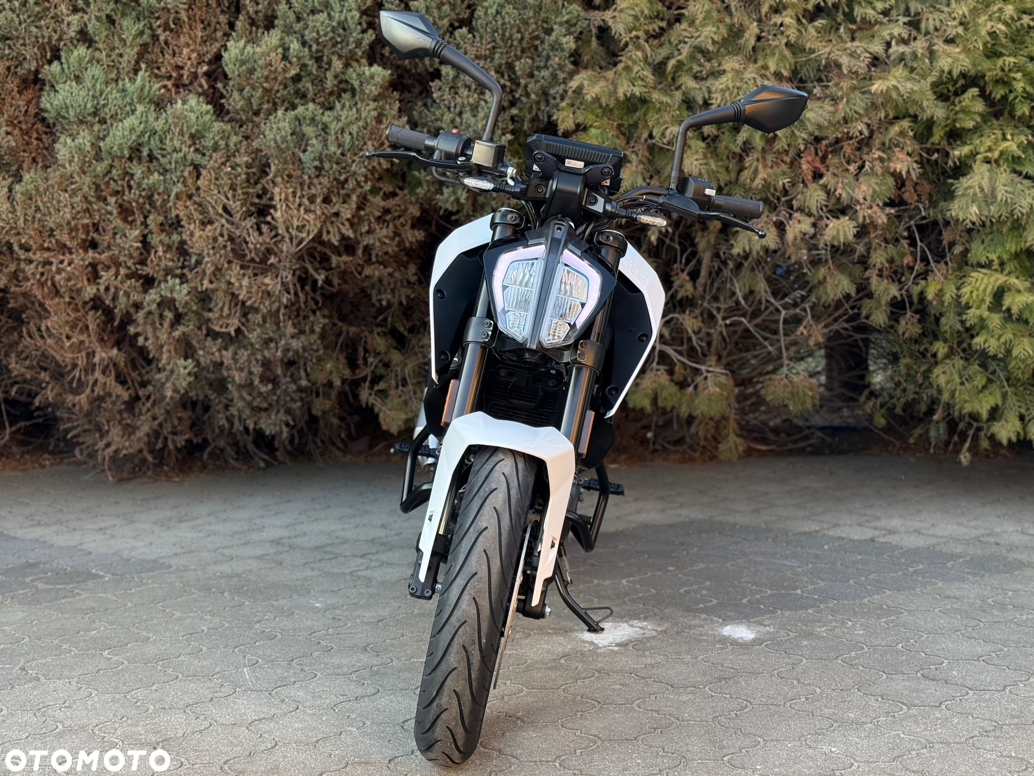 KTM Duke - 8