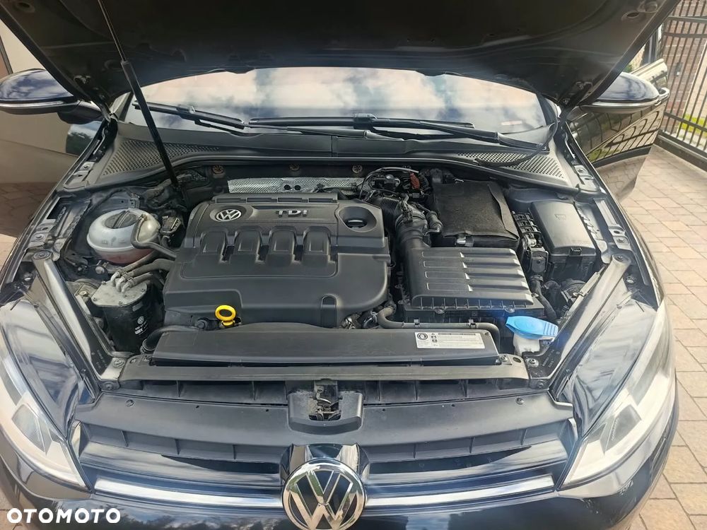 Volkswagen Golf - 8