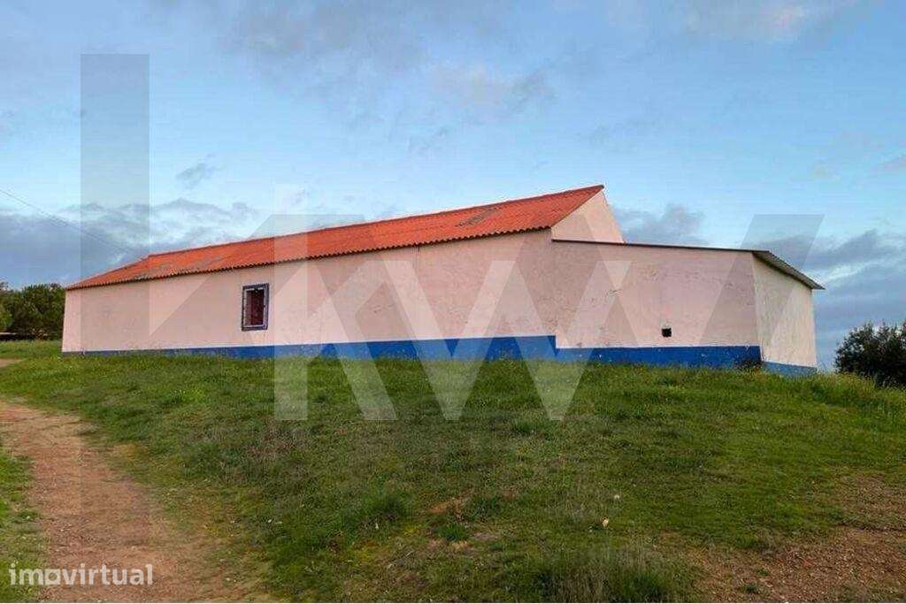 Terreno  com 13 hectares em Santiago do Cacém - Grande imagem: 4/13