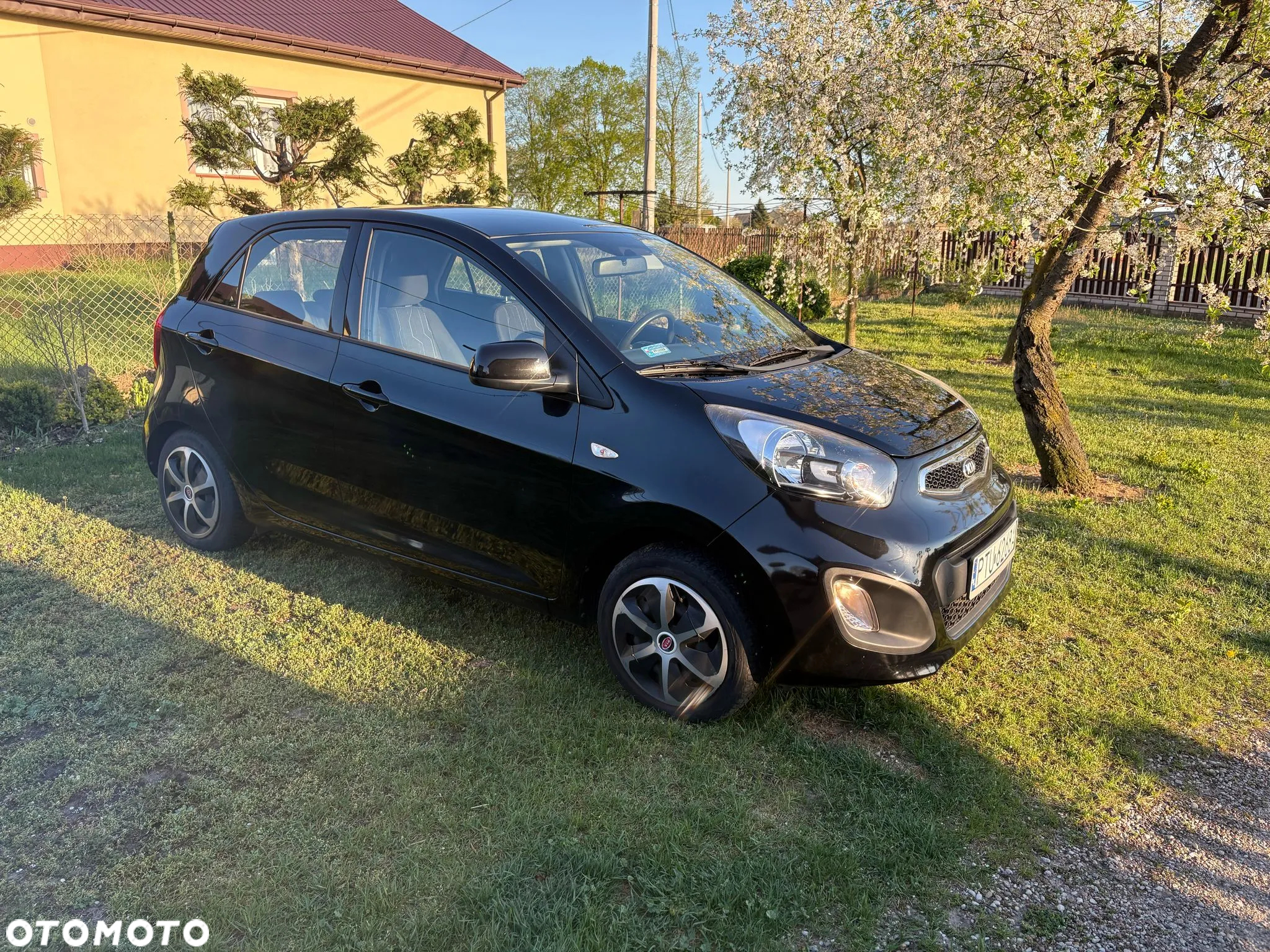 Kia Picanto - 7