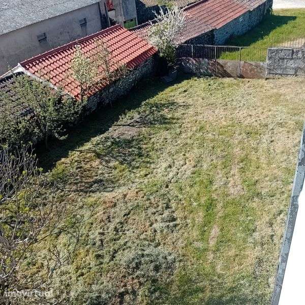 Moradia Antas de Penedono - Grande imagem: 3/12