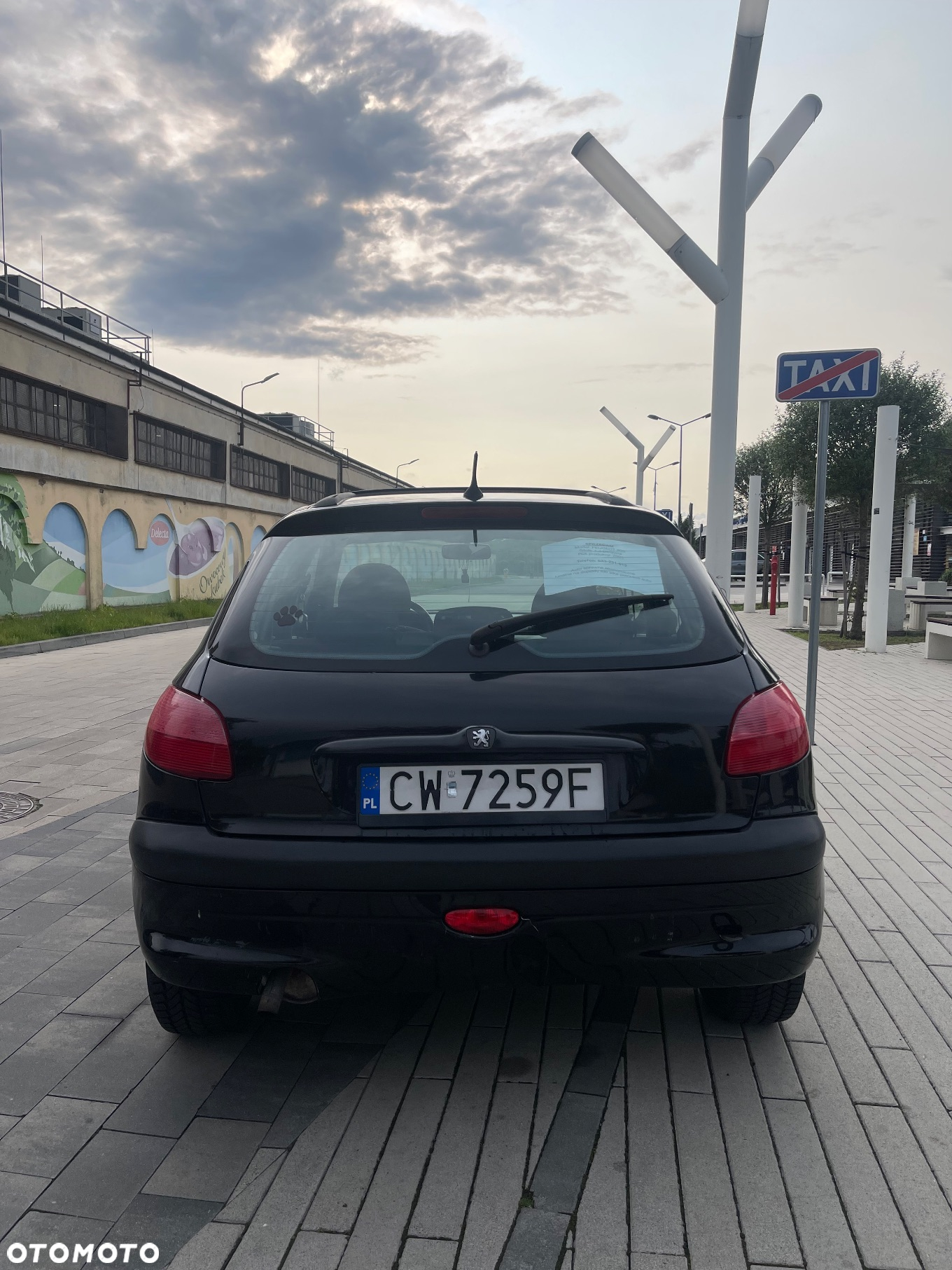 Peugeot 206 - 5