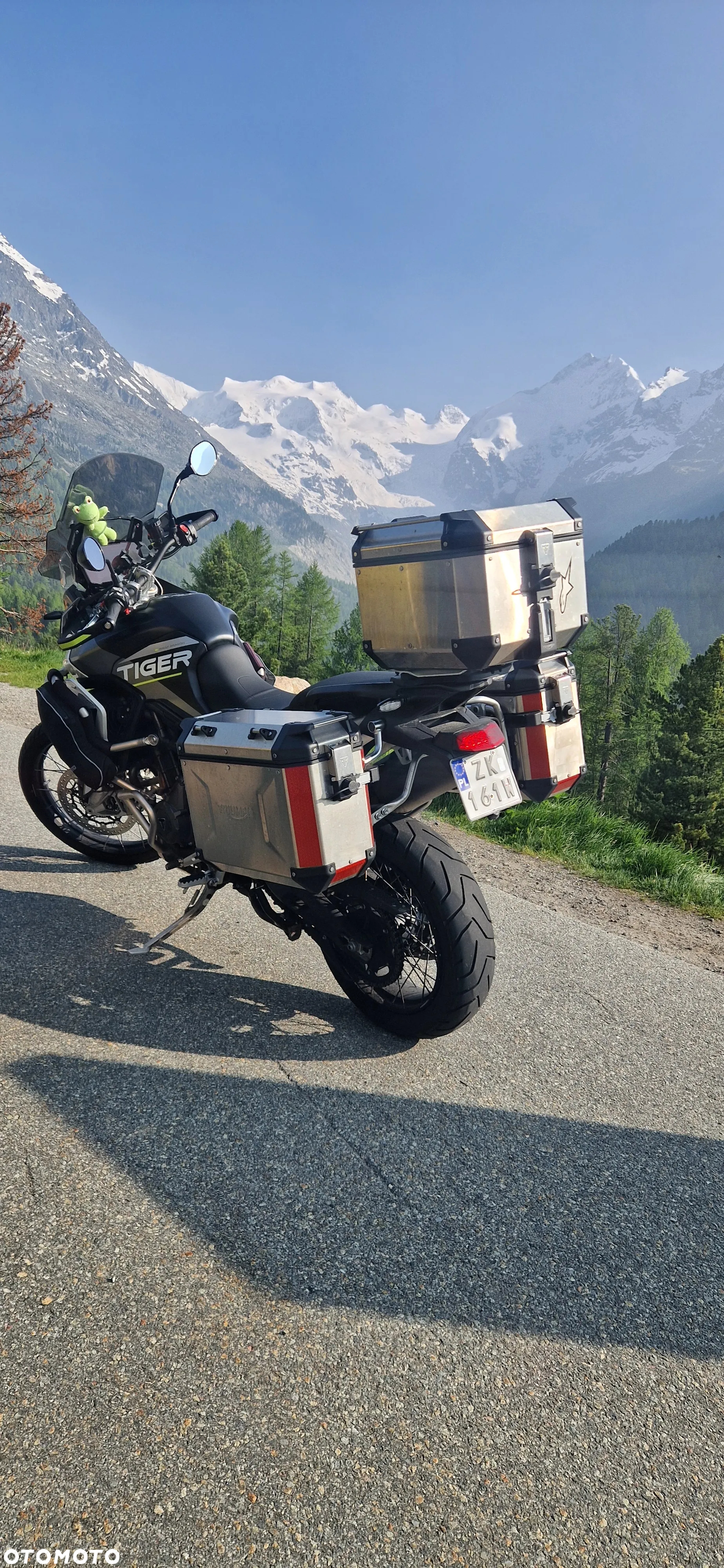 Triumph Tiger - 2