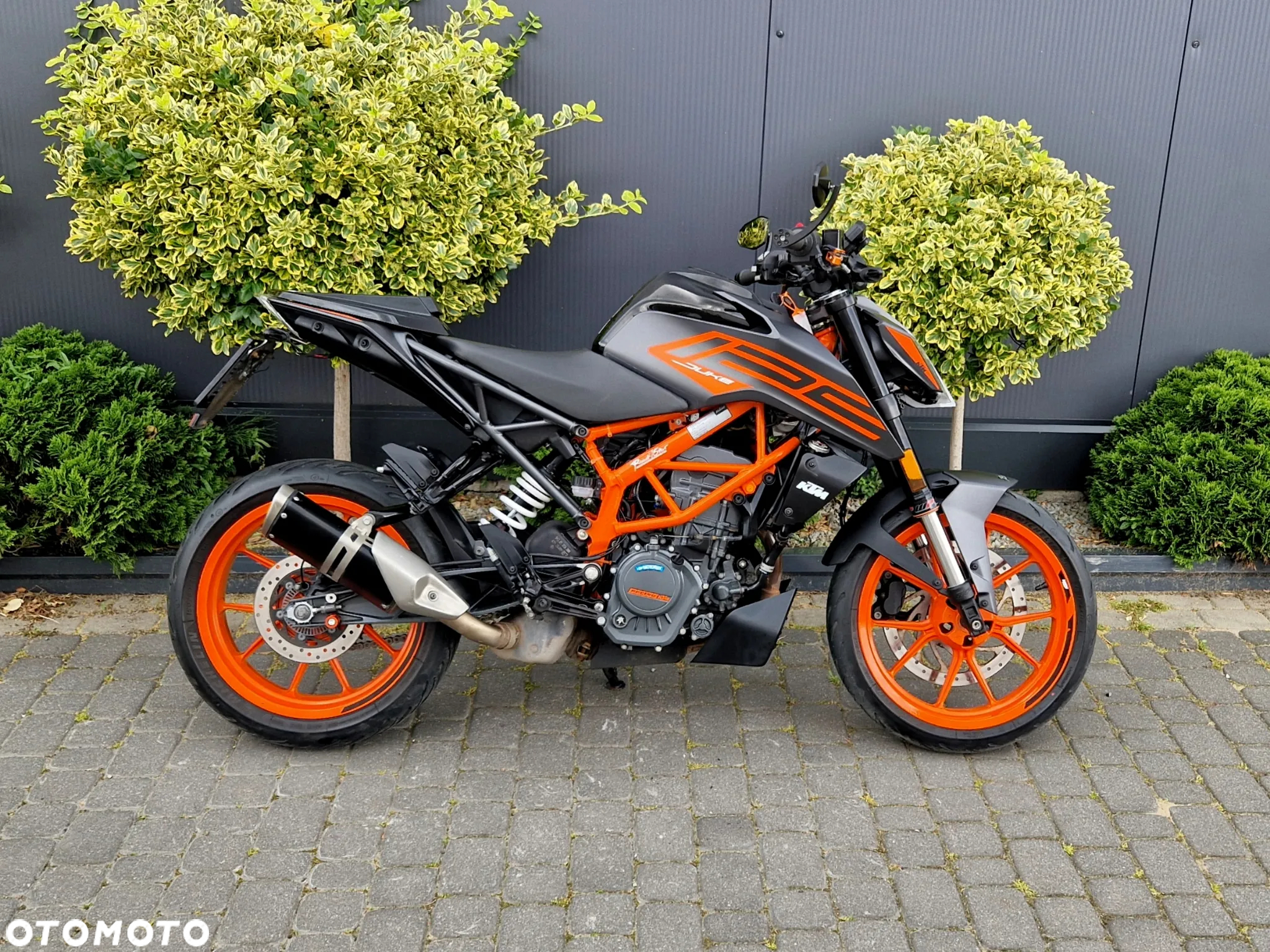 KTM Duke - 3