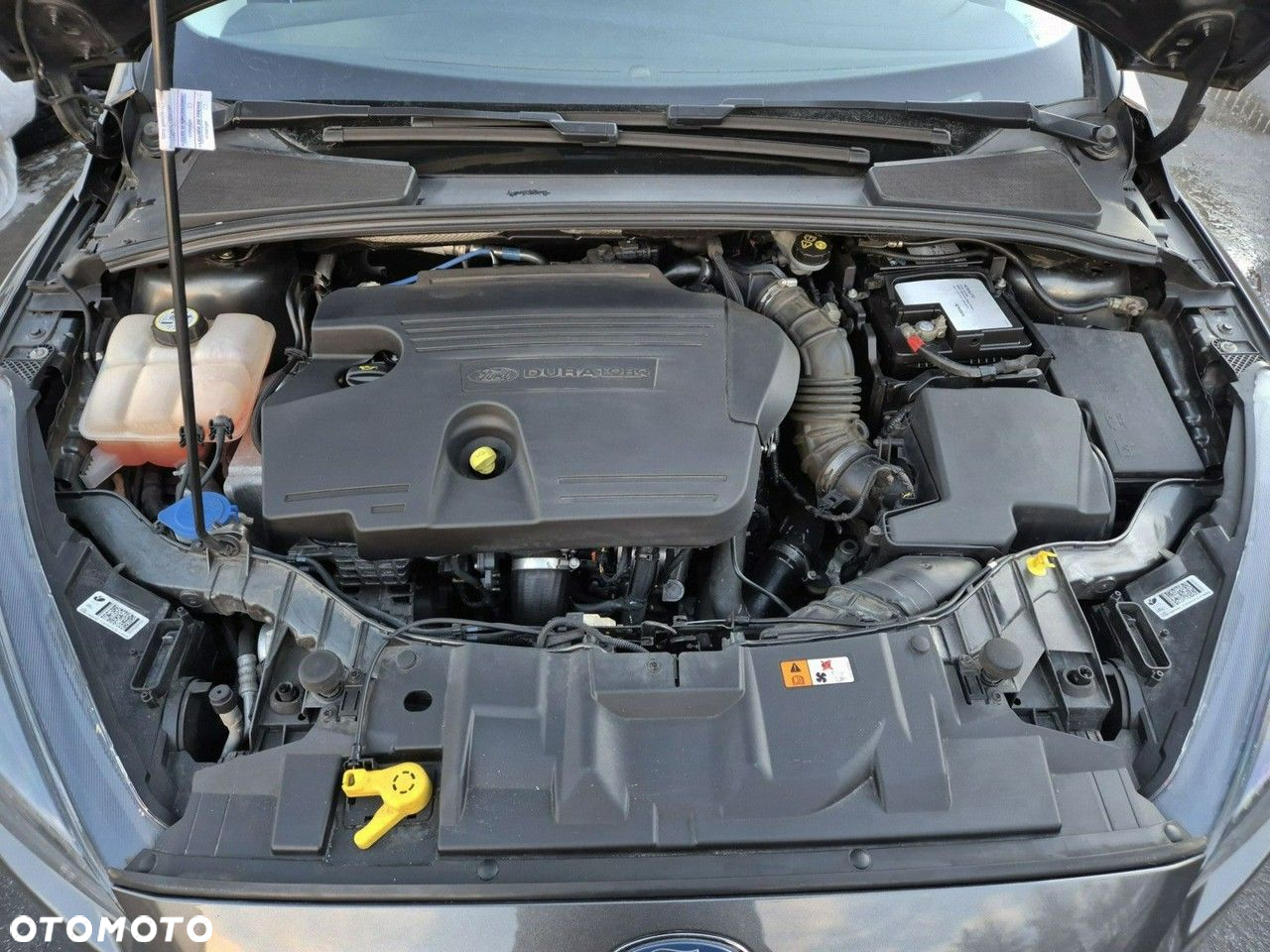 Ford Focus - 8