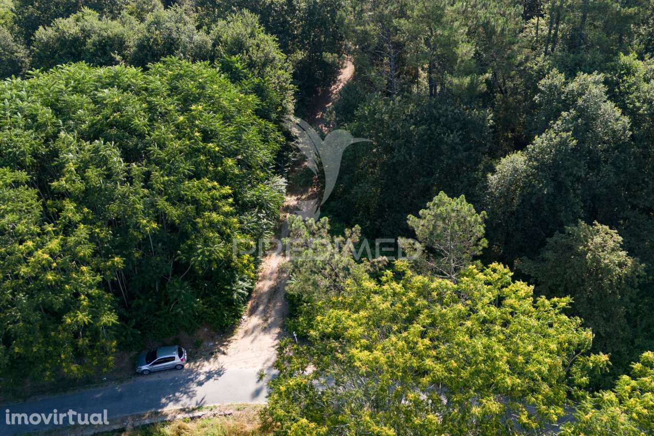 Terreno - Grande imagem: 5/11