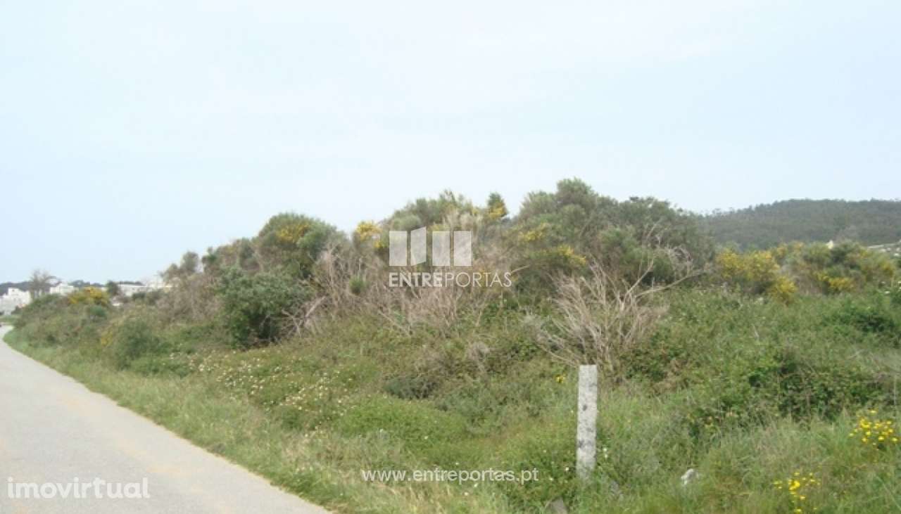 Terreno Agrícola - Afife - Grande imagem: 2/4