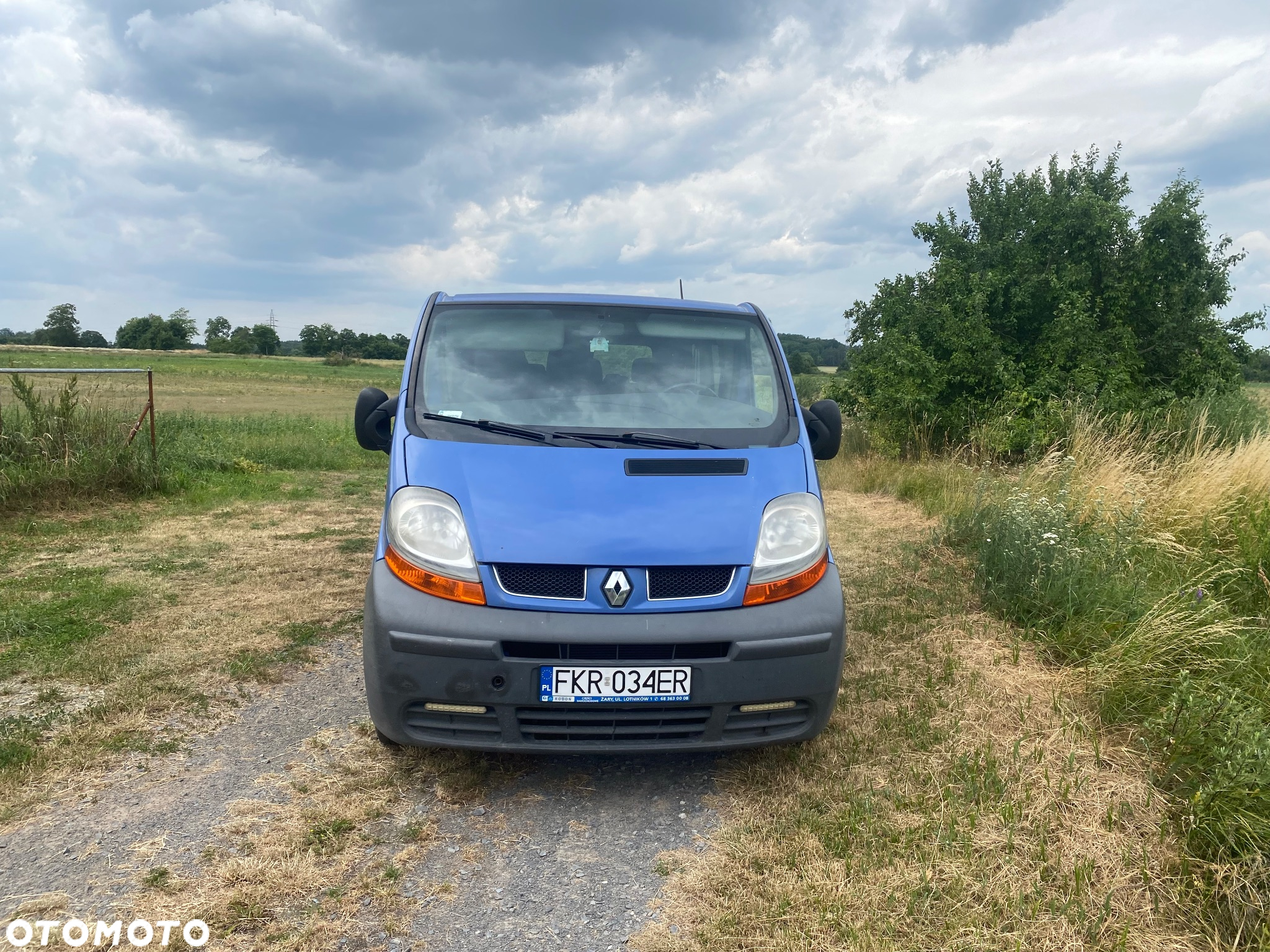 Renault Trafic - 3