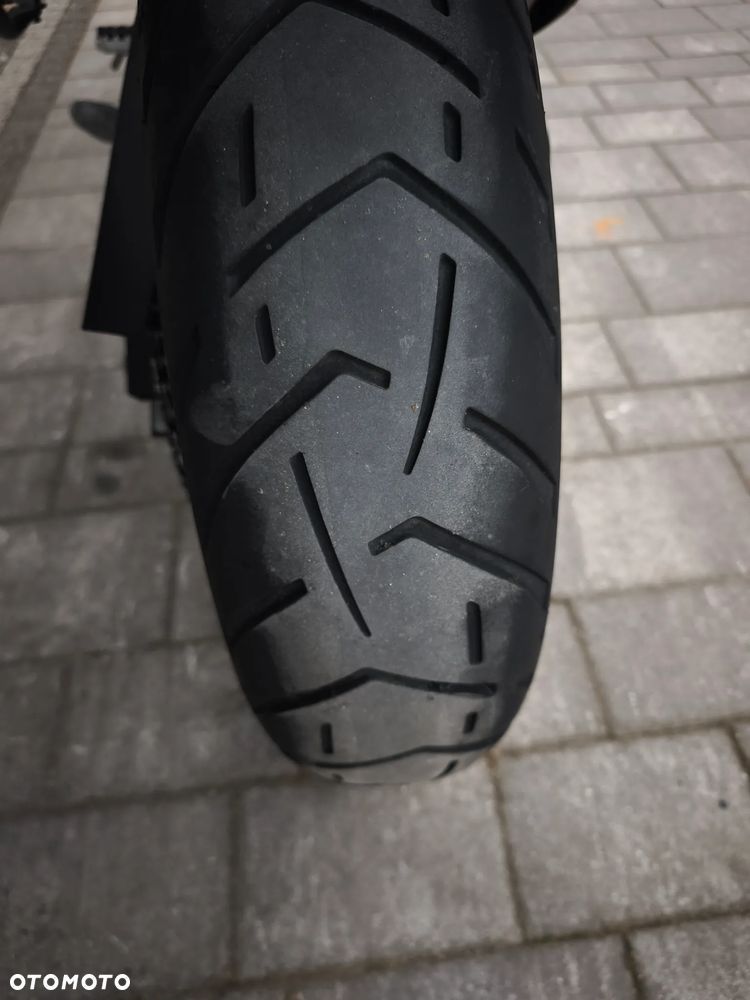 Triumph Tiger - 24