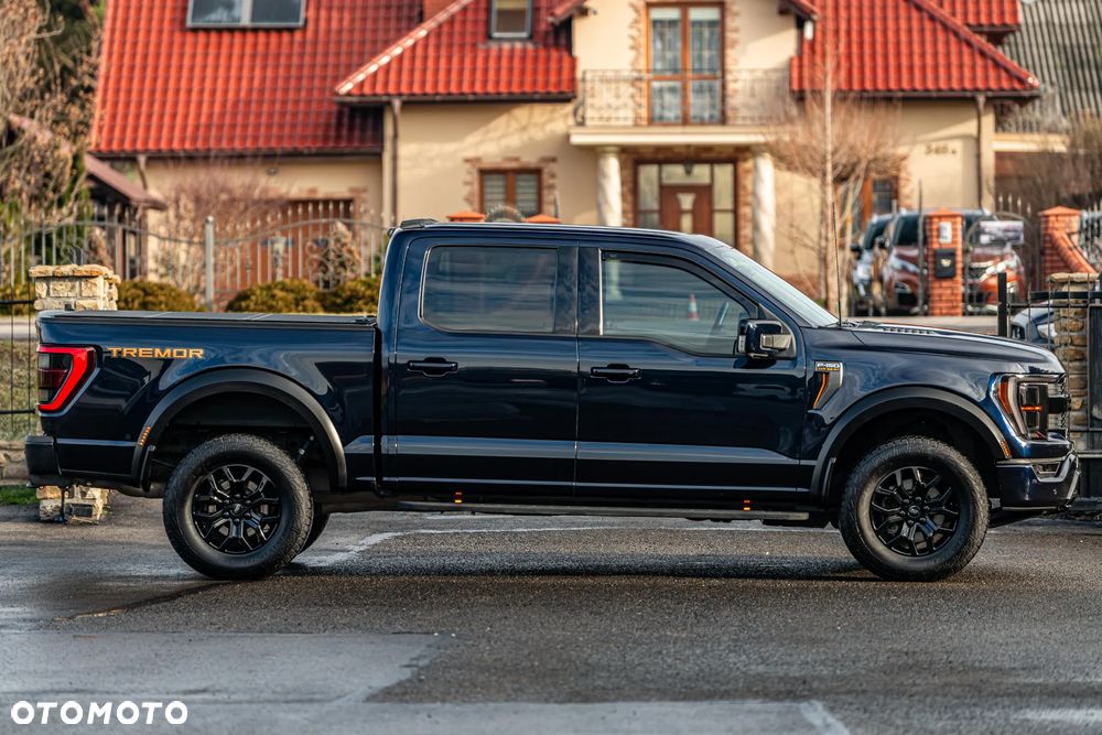 Ford F150 - 19